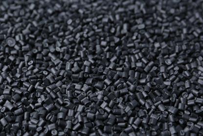 shutterstock_2559618575-2