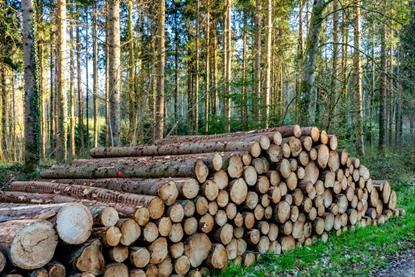 shutterstock_2610428531-2
