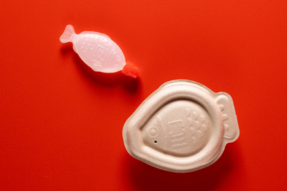 PE_Heliograf_Holy_Carp