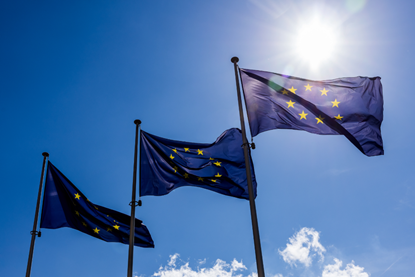 PE_EU_Flags (20)