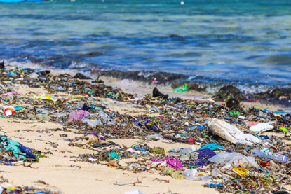 PE_Waste_on_Beach (3)