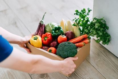 PE - Wider View Grocery Box