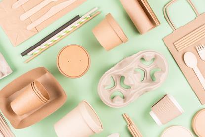 shutterstock_2216555443-2