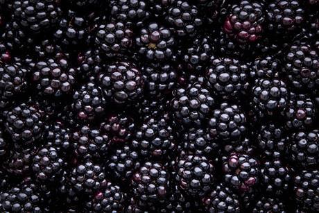 blackberries-19.05