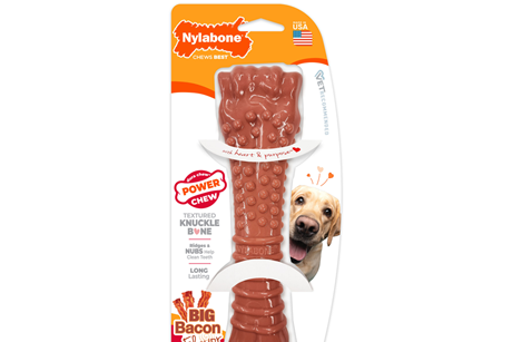 Nylabone 03.02.25