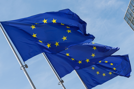PE_EU_Flags (18)