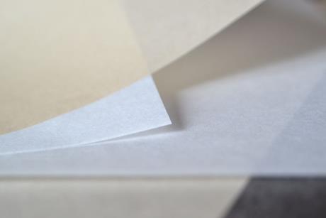swm_paper