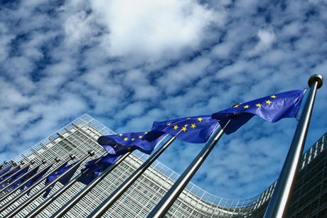 PE_EU_Flags (19)