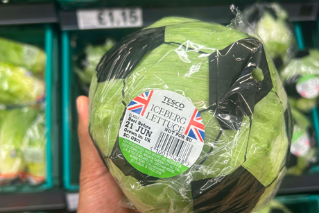 PE_Tesco_Lettuce_1