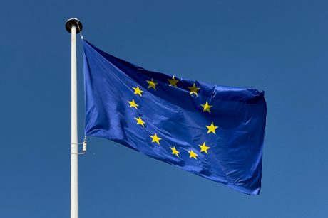 PE_EU_Flag (11)
