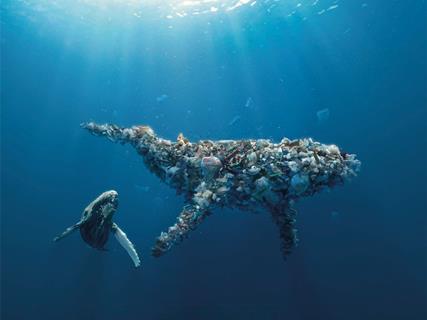 Smurfit-whale_web.jpg