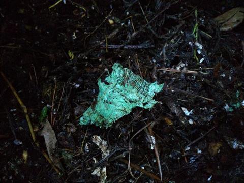 A close up of a fragment of a green plastic bag in a pile of home compost. It is large enough that a horizontal half of a bar code remains visible.