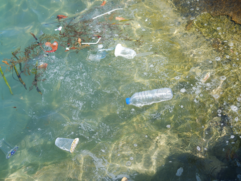 PE_Ocean_Pollution