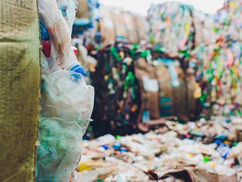 shutterstock_2411867175-2