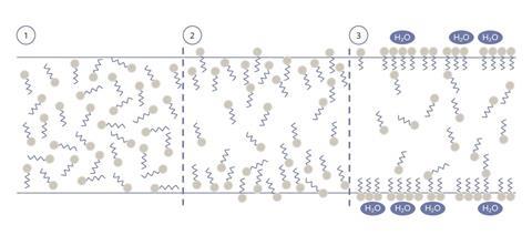 figure1matrix