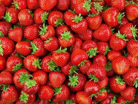 PE_Strawberries