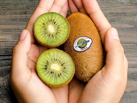 Futamura kiwi
