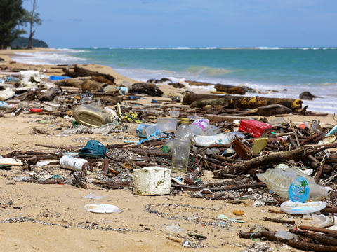PE_Plastic_Pollution_on_Beach