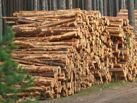 Wood Logs Export  GLOBAL WOOD TRADE