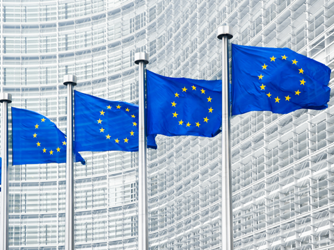 EU flags