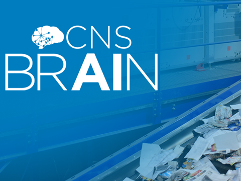 PE_CNS_Brain