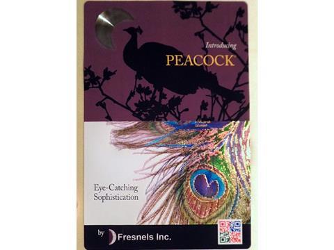 peacock201017.jpg