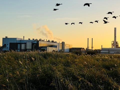 A photograph of Smurfit Kappa's Townsend Hook paper mill. The photo is taken from a distance, seemingly in a grassy field, with birds flying overhead. It appears to be sunrise or sundown, casting orange light over the scene.