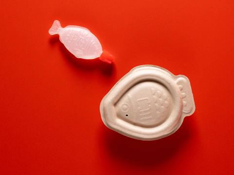 PE_Heliograf_Holy_Carp