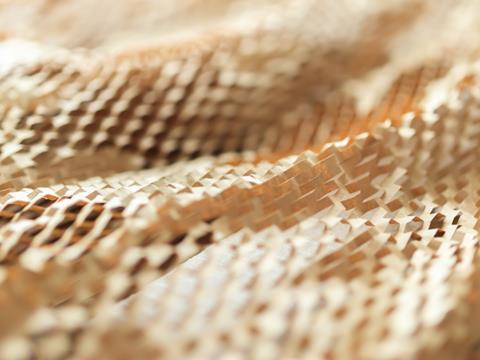 shutterstock_2453379733-2