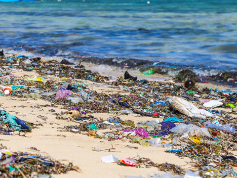 PE_Waste_on_Beach (3)