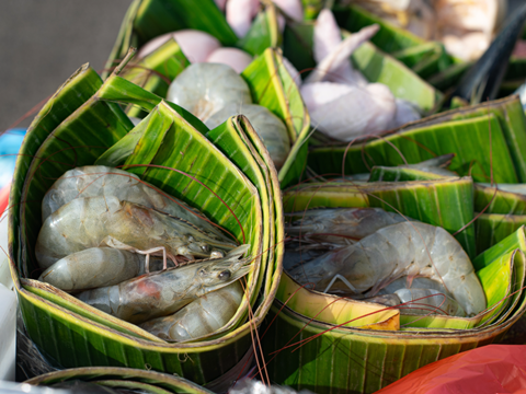 PE_Banana_Leaves