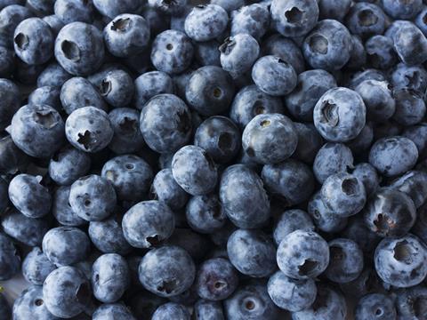 Slow-release ethylene inhibitor can improve shelf life of fresh berries ...