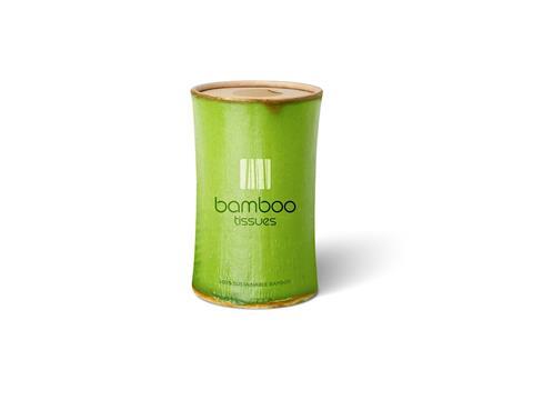 bamboo2_060819.jpg