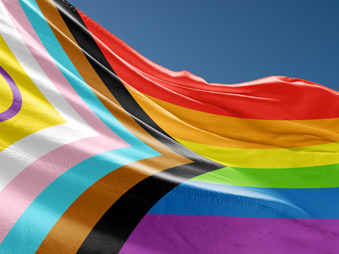 PE_Progress_Flag