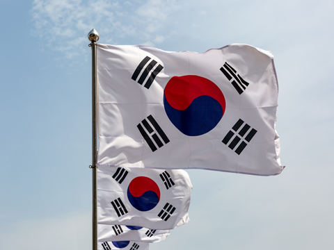 PE_SK_Flags