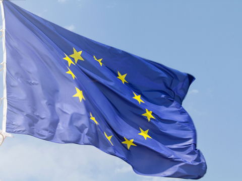 PE_EU_Flag (13)