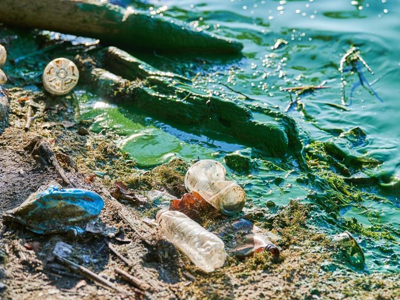 Marine plastic collection programmes must improve transparency ...