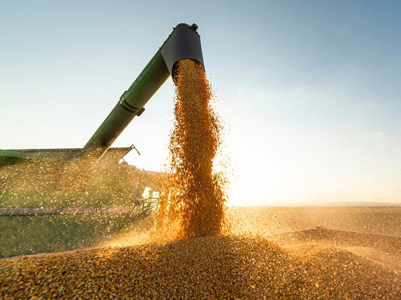 Project launched to produce multipurpose bioplastic from soy residues