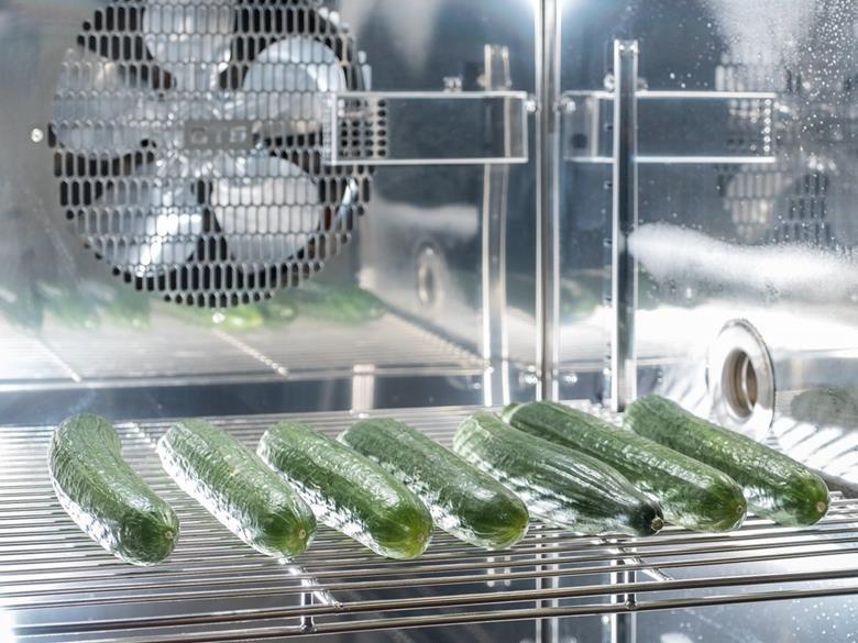 Preliminary success for edible fruit and vegetable coating backed by