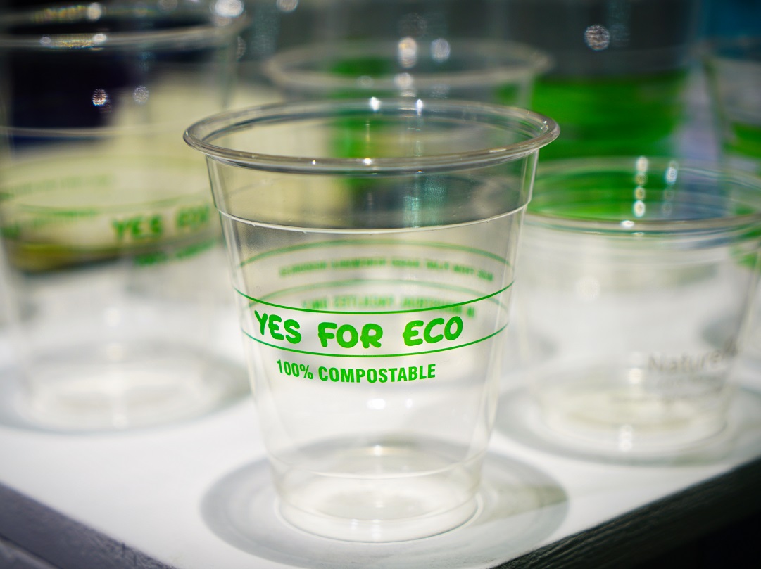 Eco-cup polymers