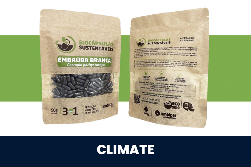 Climate 4