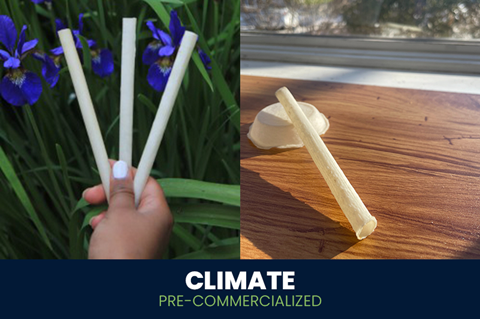 PC Climate 2